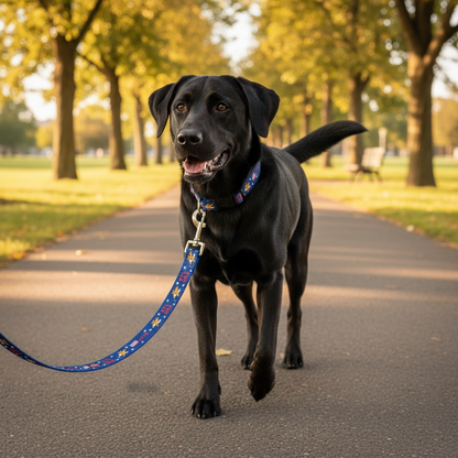 Flags of Valor PrideBides Nylon Leash