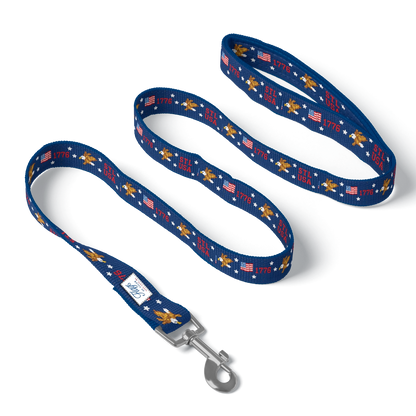 Flags of Valor PrideBides Nylon Leash